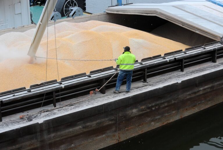 We manage structured import and export operations that connect regional and international markets.