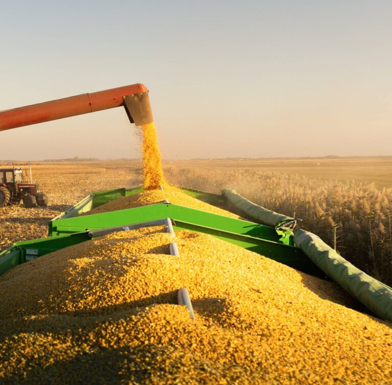 We coordinate efficient logistics and supply chain operations to ensure smooth movement of goods from production to delivery.