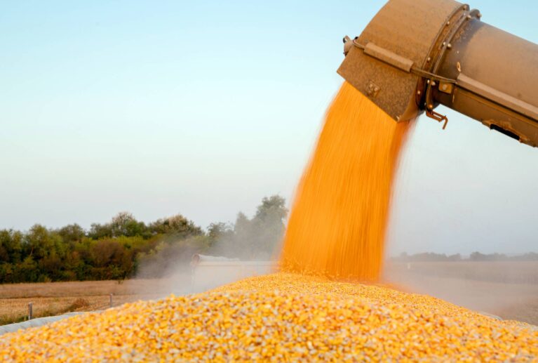 We operate modern milling facilities focused on efficiency, consistency, and high production standards.