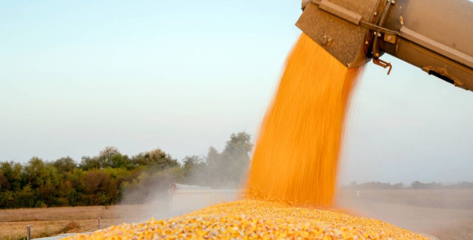 We operate modern milling facilities focused on efficiency, consistency, and high production standards.