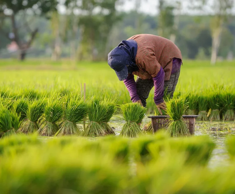 There are many variations of passages of Lorem Ipsum available, but majority have suffered teration in some form, by injected humour, or randomised words which don't look even slight believable. If you are going to use a passage of Lorem Ipsum.